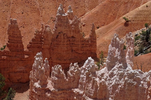 Hoodoos in backlight - Bryce Canyon, USA