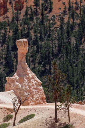 Queen_Victoria - Bryce Canyon, USA