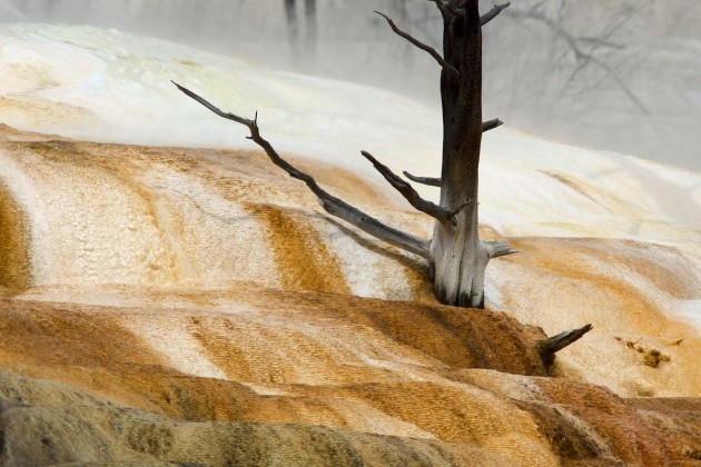 Mammoth Hot Spring Yellowstone, USA