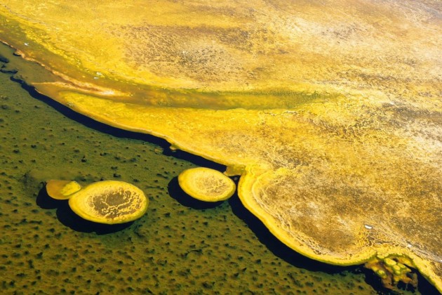 Microbial mats in Yellowstone, USA