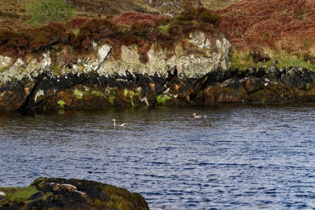 15 Loch Holmasaig ludakkal