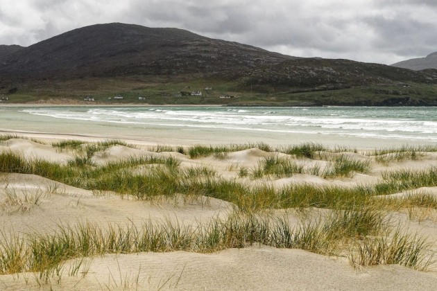 8. Dune, fovenyes tengerpart