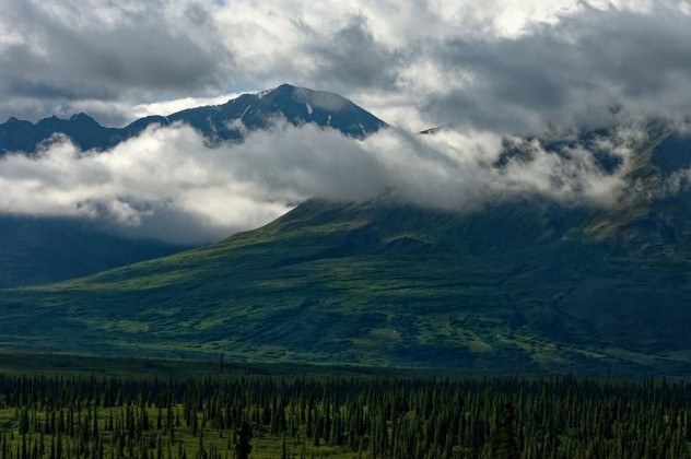 15 Talketna Wasilla